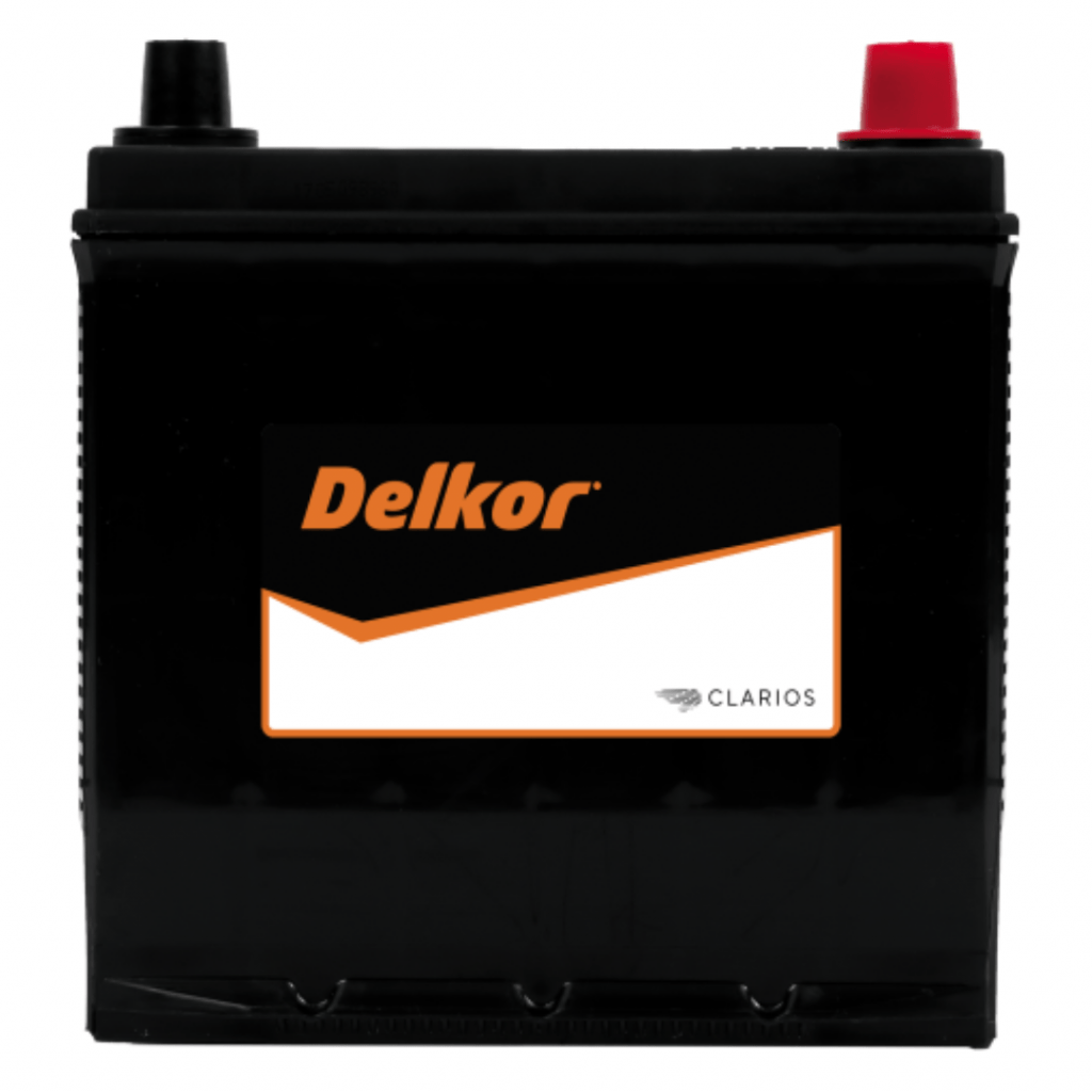 Delkor Calcium 50D20L Signature Batteries — free download